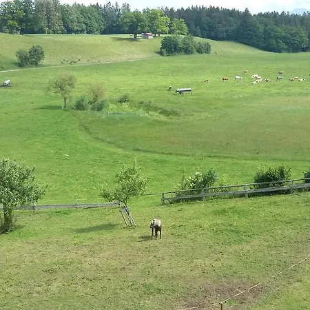Biohof Babel Sachsenkam