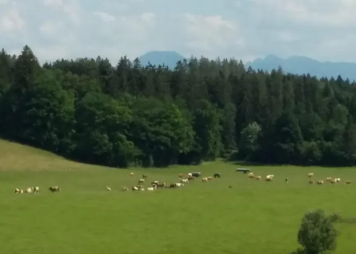 Biohof Babel شقة *