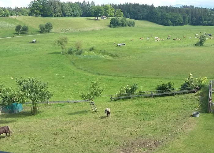 Biohof Babel Sachsenkam